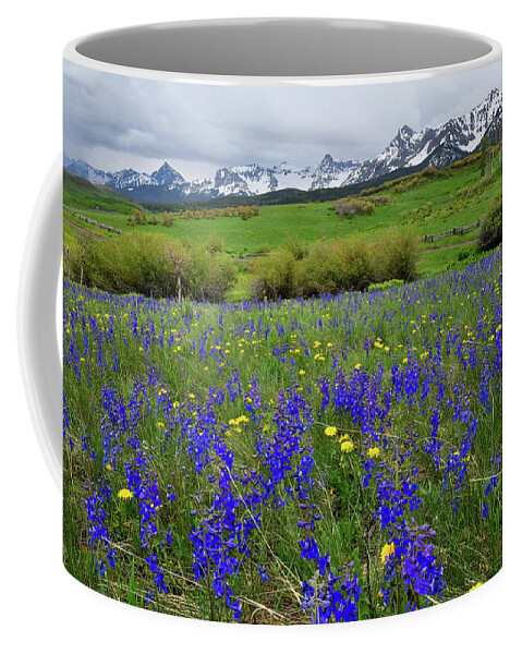 Ouray Coffee Mug featuring the photograph Wildflowers along Last Dollar Road by Ray Mathis