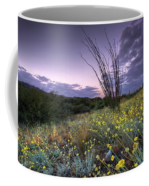 Dawn Coffee Mug featuring the photograph Wildflowers at Dawn by Sue Cullumber