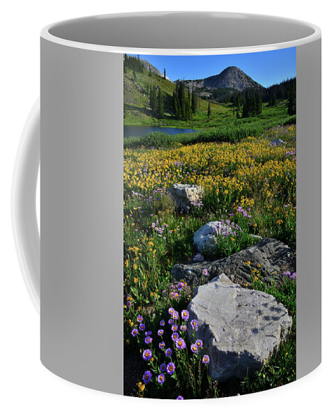 Snowy Range Mountains Coffee Mug featuring the photograph Wildflowers Bloom in Snowy Range by Ray Mathis