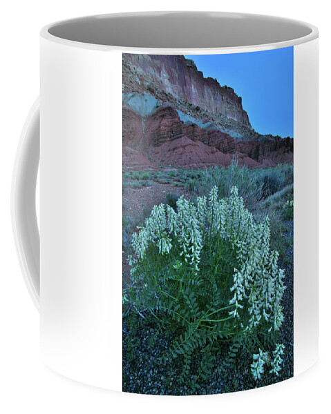 Capitol Reef National Park Coffee Mug featuring the photograph Wildflowers in the Dark in Capitol Reef NP by Ray Mathis