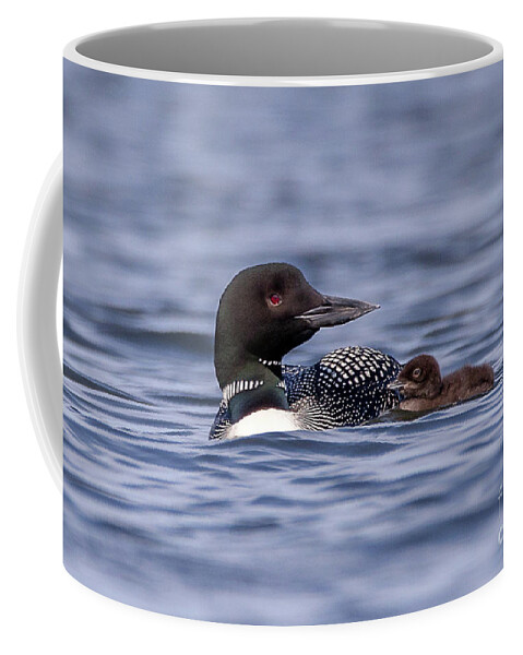 Wildlife Coffee Mug featuring the photograph Wildlife Loons -9649 by Norris Seward