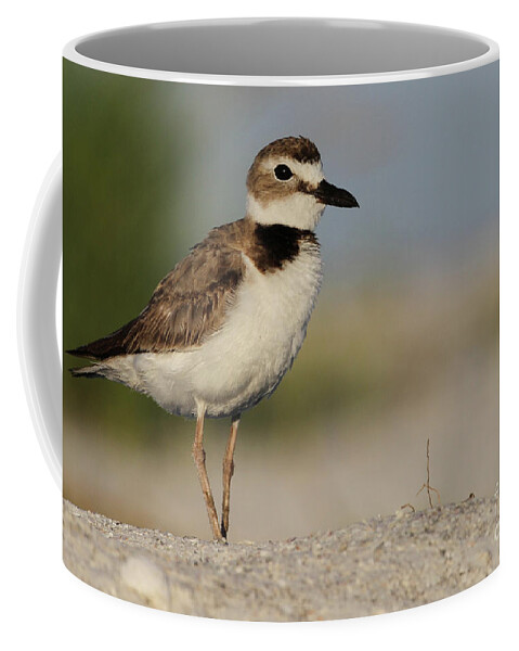 Wilson's Plover Coffee Mug featuring the photograph Wilson's Plover by Meg Rousher