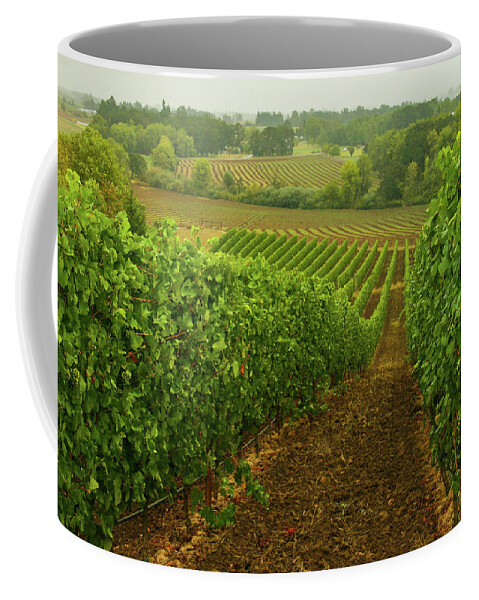 Vineyard Coffee Mug featuring the photograph Drink Up The Sights Of This Bucolic Spring Vineyard by Leslie Struxness
