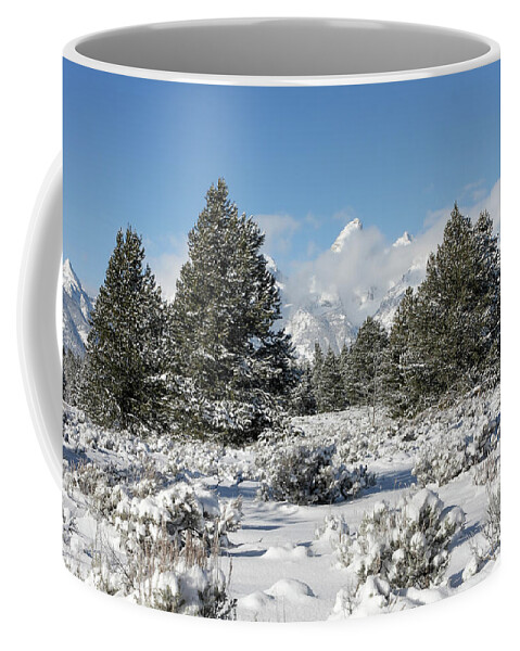 Winter Coffee Mug featuring the photograph Winter Framing by Ronnie And Frances Howard