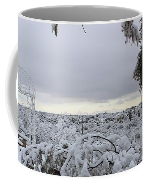 Winter Coffee Mug featuring the photograph Winter in Arizona No.1 by Kume Bryant