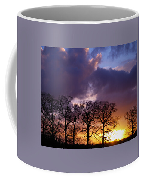 Winter Coffee Mug featuring the photograph Winter Tree and Sky by Luc Van de Steeg