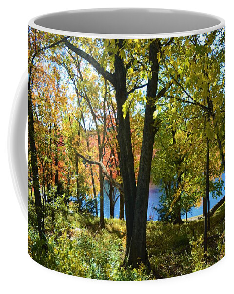 Trees Coffee Mug featuring the photograph With Trees and Water by Dani McEvoy