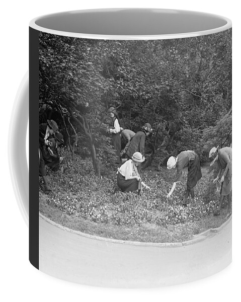 Framing Coffee Mug featuring the painting Women Picking Flowers by Unknown
