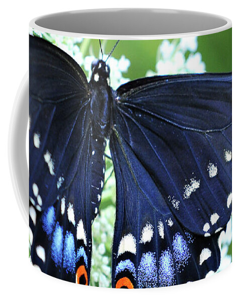 Swallowtail Butterfly Photography Coffee Mug featuring the photograph Wonder by Michelle Wermuth