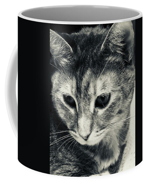 Photograph Coffee Mug featuring the photograph Emily  by Kelly Thackeray