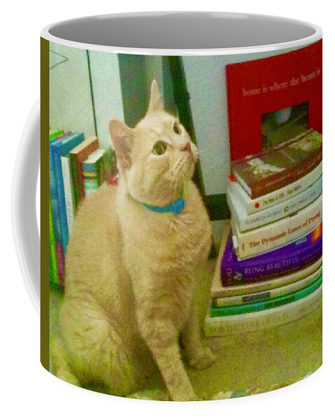 Tan Cat Coffee Mug featuring the photograph Wondering Too by Debra Grace Addison