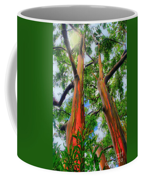 Hawaii Coffee Mug featuring the photograph Wondrous Eucalyptus by DJ Florek