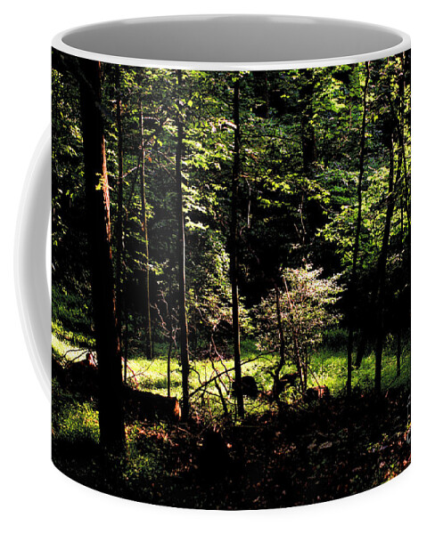 Forest Coffee Mug featuring the photograph Woodland Calm - No. 17 by Steve Ember