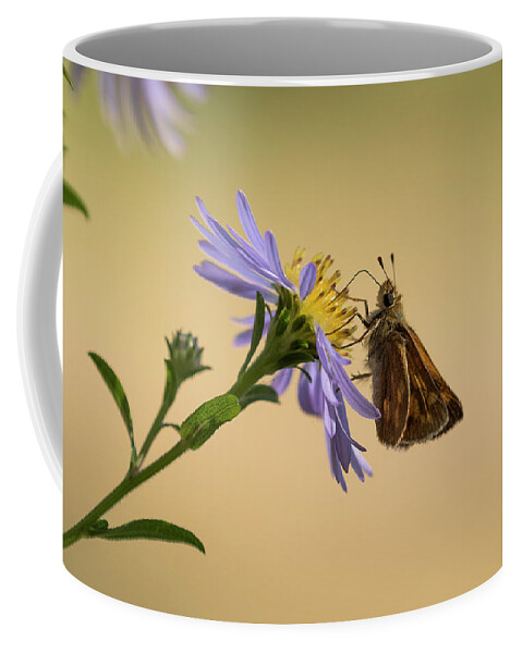Animals Coffee Mug featuring the photograph Woodland Skipper on Aster by Robert Potts