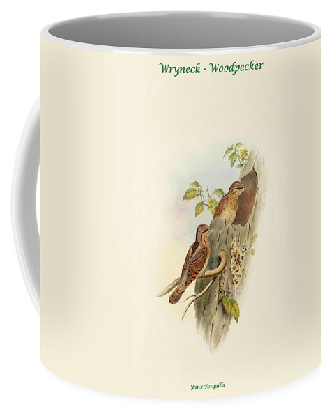 Woodpecker Coffee Mug featuring the painting Wryneck - Woodpecker II by John Gould