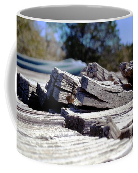 Boards Coffee Mug featuring the photograph Yearning to be Free by Ivars Vilums
