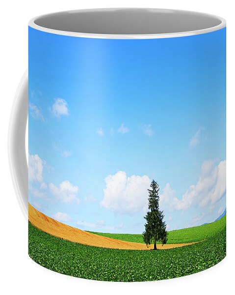 00643487 Coffee Mug featuring the photograph Yeddo Spruce In Field by Hiroya Minakuchi