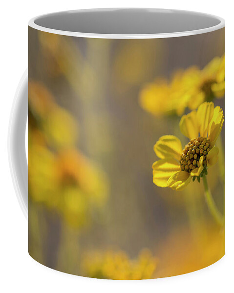 Yellow Coffee Mug featuring the photograph Yellow Blooms by Sue Cullumber