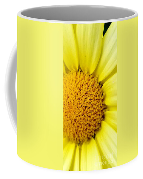 Sea Coffee Mug featuring the photograph Yellow Daisy by Michael Graham