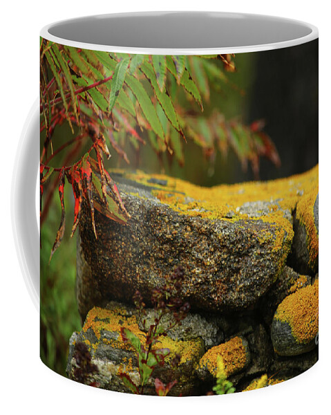 Yellow Moss Coffee Mug featuring the photograph Yellow Moss by Terri Brewster