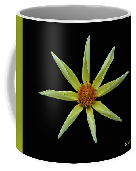 Yellow Star Dahlia Coffee Mug featuring the photograph Yellow Star Dahlia by Diane Giurco