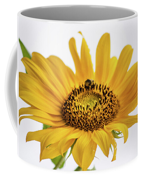 Ohio Coffee Mug featuring the photograph Yellow by Stewart Helberg