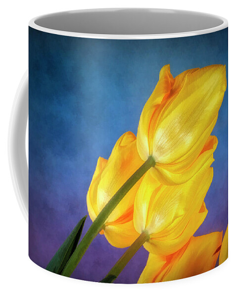 Flower Coffee Mug featuring the photograph Yellow Tulips on Blue by Tom Mc Nemar