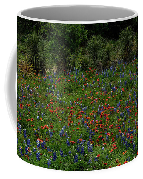 Texas Bluebonnets Coffee Mug featuring the photograph Yucca and Wildflowers by Johnny Boyd