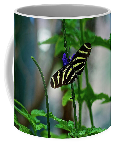 Butterflies Coffee Mug featuring the photograph Zebra Long Wing by Donald Pash