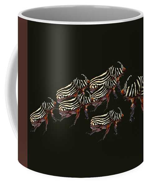 Rhinoceros Beetle Coffee Mug featuring the drawing Zebra Pattern Rhinoceros Beetle 3 by Joan Stratton