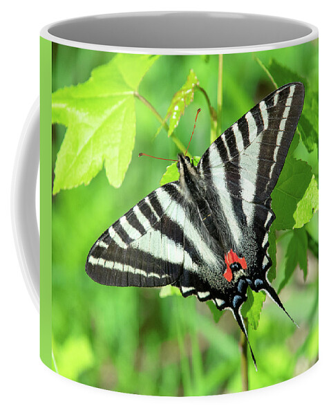 Nature Coffee Mug featuring the photograph Zebra Swallowtail DIN0279 by Gerry Gantt