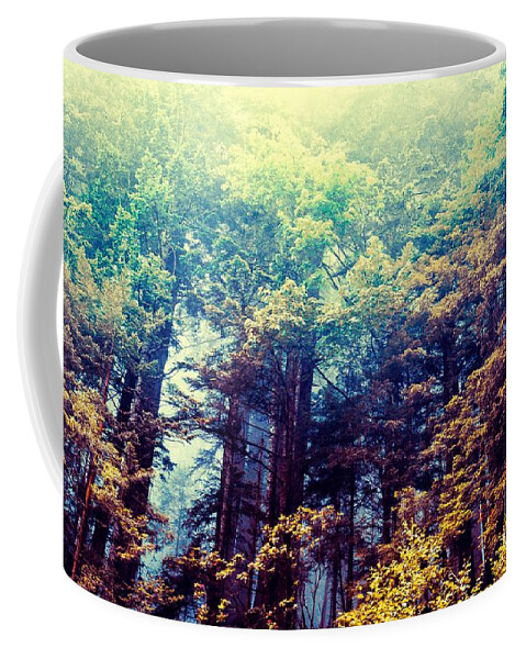 Beauty In Nature Coffee Mug featuring the photograph 0369 Redwood Forest California by Nasser Atelier