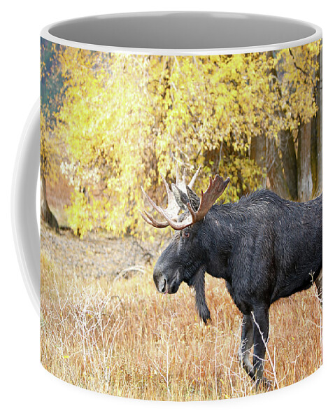 Bull Coffee Mug featuring the photograph 2021 Bull Moose Seven #1 by Jean Clark