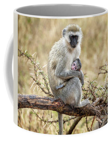 Animals Coffee Mug featuring the photograph A Tender Moment #2 by Sandra Bronstein