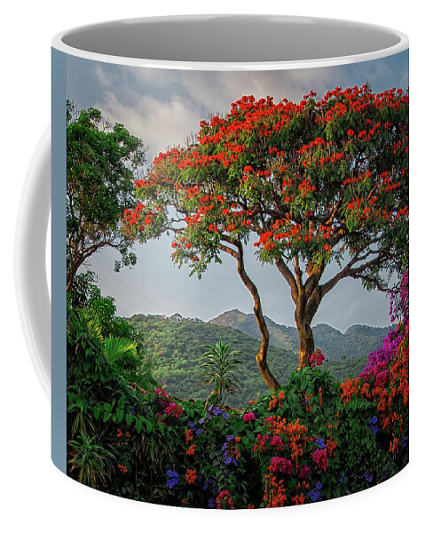 Flora Coffee Mug featuring the photograph African Tulip Tree #1 by Robert McKinstry