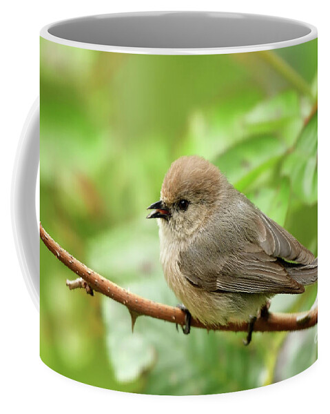 Psaltriparus Minimus Coffee Mug featuring the photograph American Bushtit #1 by Amazing Action Photo Video