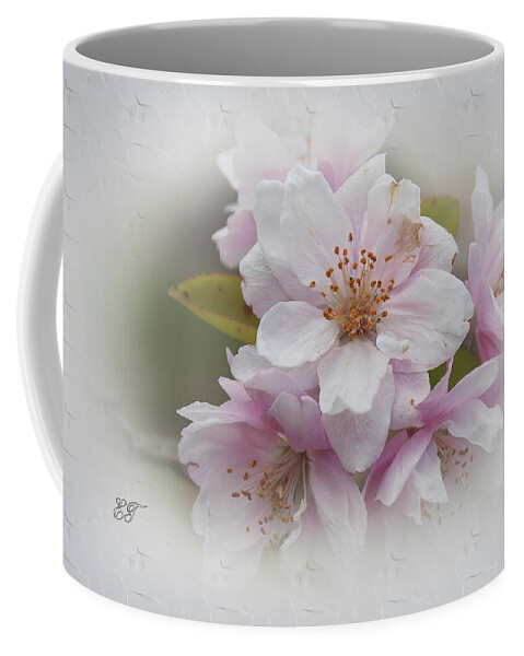 Flowers Coffee Mug featuring the photograph Apple Blossom by Elaine Teague