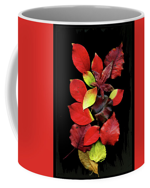 Nature Coffee Mug featuring the photograph Autumn Colors by Gerlinde Keating - Galleria GK Keating Associates Inc