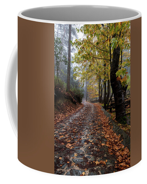Autumn Coffee Mug featuring the photograph Autumn landscape with trees and Autumn leaves on the ground after rain by Michalakis Ppalis