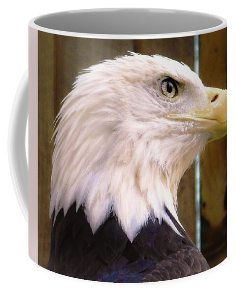 - Bald Eagle Coffee Mug featuring the photograph - Bald Eagle #1 by THERESA Nye
