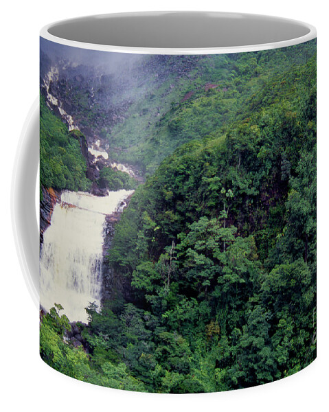 Dave Welling Coffee Mug featuring the photograph Base Of Angel Falls Canaima National Park Venezuela #1 by Dave Welling