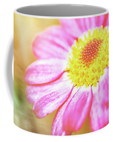 Macro Coffee Mug featuring the photograph Beautiful purple Anthemis flower macro blossoming in spring season #3 by Gregory DUBUS