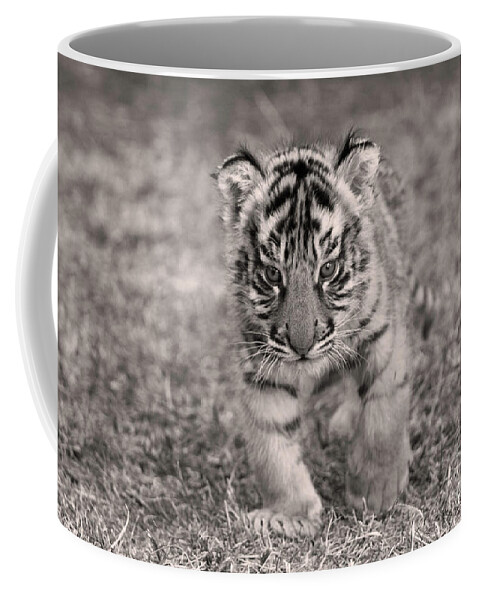 Alone Coffee Mug featuring the photograph Bengal Tiger Cub #1 by M Watson