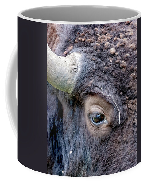 Bison Eye Coffee Mug featuring the photograph Bison Eye #1 by Jack Bell