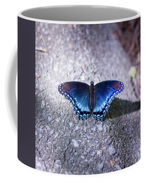 https://render.fineartamerica.com/images/rendered/default/frontright/mug/images/artworkimages/medium/3/1-blue-butterfly-david-beechum.jpg?&targetx=233&targety=0&imagewidth=333&imageheight=333&modelwidth=800&modelheight=333&backgroundcolor=3E3947&orientation=0&producttype=coffeemug-11