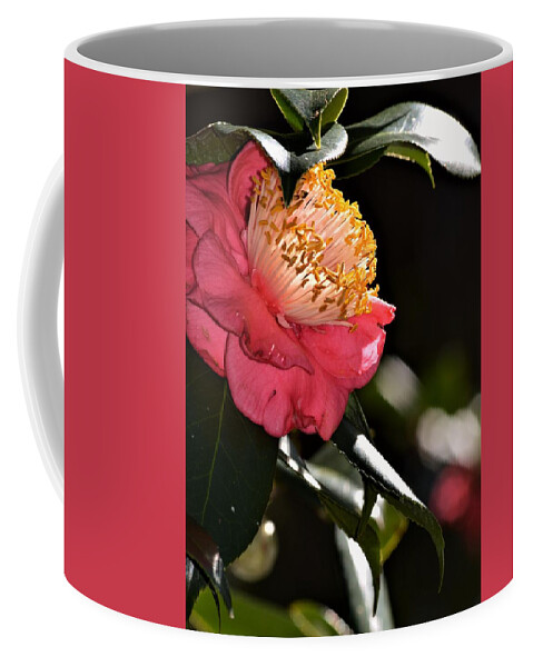 Camellia Light Coffee Mug featuring the photograph Camellia Light #1 by Warren Thompson