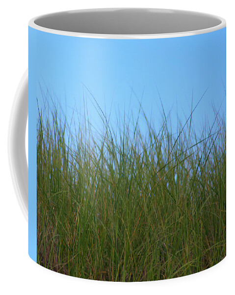 Grass Coffee Mug featuring the photograph Cape Cod Beach Grass #1 by Flinn Hackett