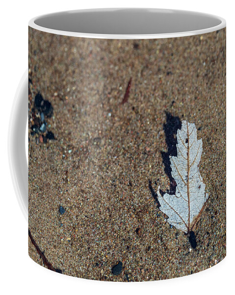 Landscapes Coffee Mug featuring the photograph Clean Water - Delaware River - Underwater Photography #1 by Amelia Pearn