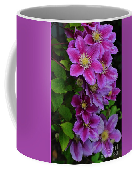 Clematis Coffee Mug featuring the photograph Clematis #1 by Jimmy Chuck Smith