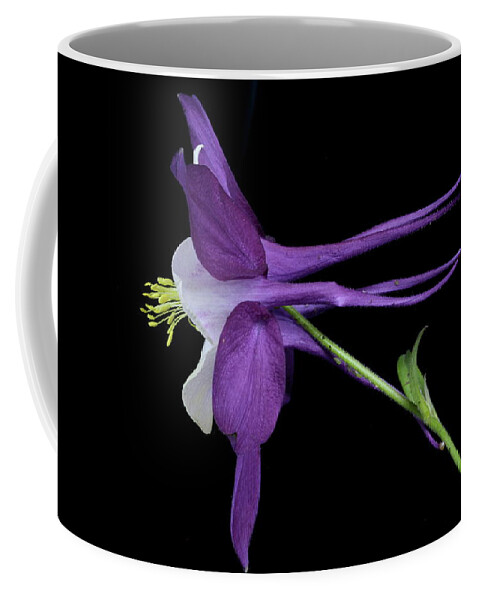 Floral Coffee Mug featuring the photograph Columbine 781 by Julie Powell